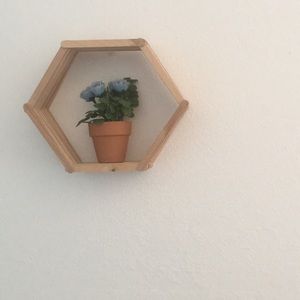 Honeycomb Wall Shelf